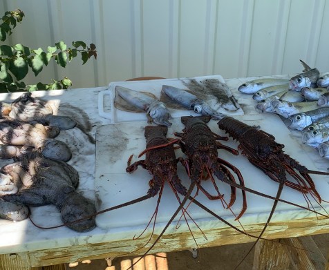 0228A3FB-E43A-4E3C-A920-855554490A64