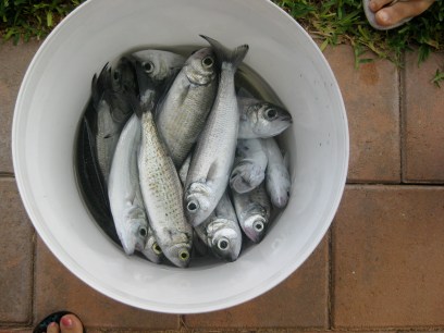 D3238CCA-574A-495C-AB0A-B9C09FD8F750